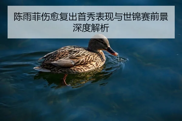 陈雨菲伤愈复出首秀表现与世锦赛前景深度解析